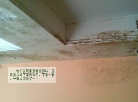 别墅地下室新风除湿系统 别墅地下室新风除湿系统