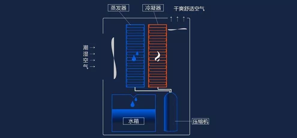 除湿新风系统 除湿新风系统